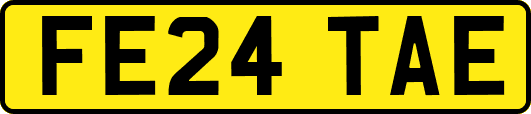 FE24TAE
