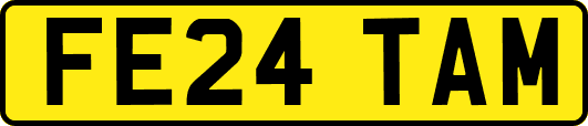 FE24TAM