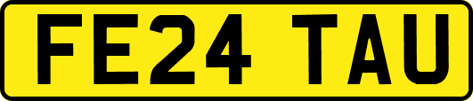 FE24TAU