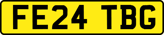 FE24TBG