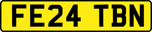 FE24TBN