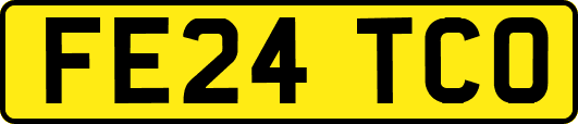 FE24TCO