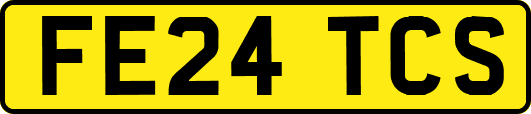 FE24TCS