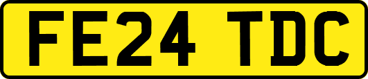 FE24TDC