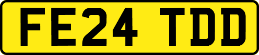 FE24TDD