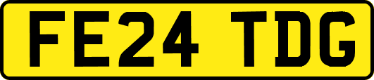 FE24TDG