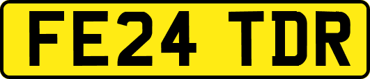 FE24TDR