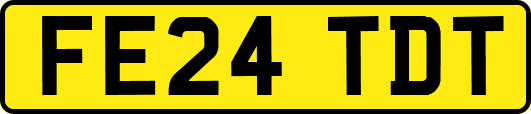FE24TDT