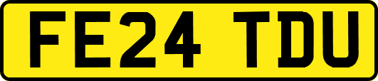 FE24TDU