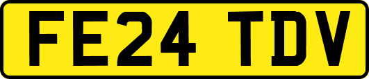 FE24TDV