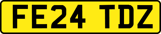 FE24TDZ