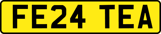 FE24TEA
