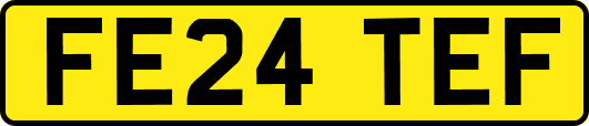 FE24TEF