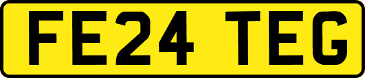 FE24TEG