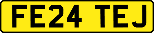 FE24TEJ