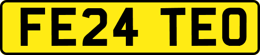 FE24TEO
