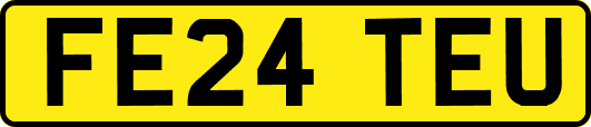 FE24TEU
