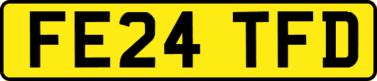 FE24TFD