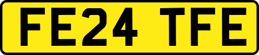 FE24TFE