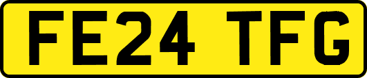FE24TFG