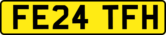 FE24TFH