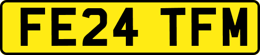 FE24TFM