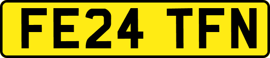 FE24TFN