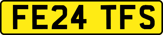 FE24TFS