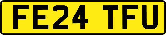 FE24TFU