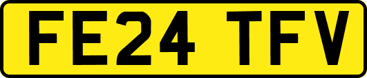 FE24TFV
