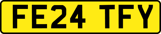 FE24TFY
