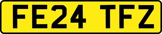 FE24TFZ