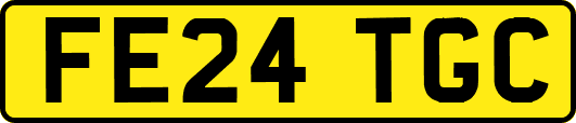 FE24TGC