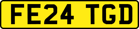 FE24TGD