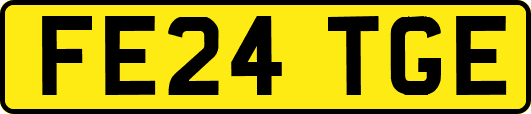 FE24TGE