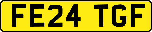 FE24TGF