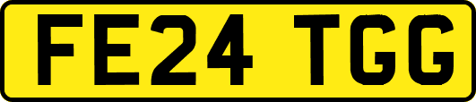 FE24TGG