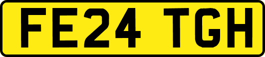 FE24TGH