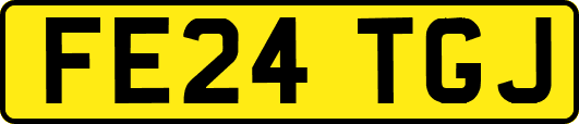 FE24TGJ