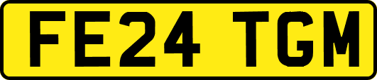 FE24TGM