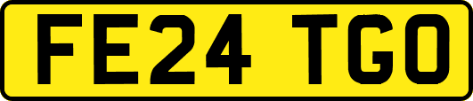 FE24TGO
