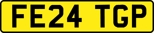 FE24TGP