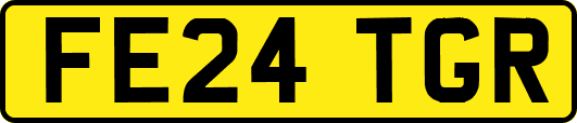 FE24TGR