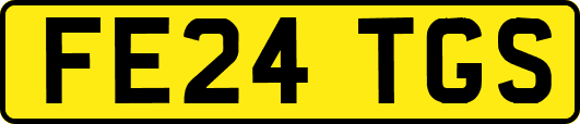 FE24TGS