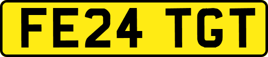 FE24TGT