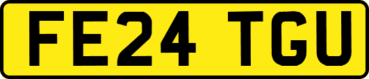 FE24TGU