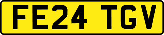 FE24TGV