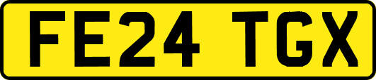 FE24TGX