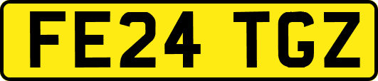 FE24TGZ