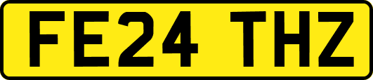 FE24THZ